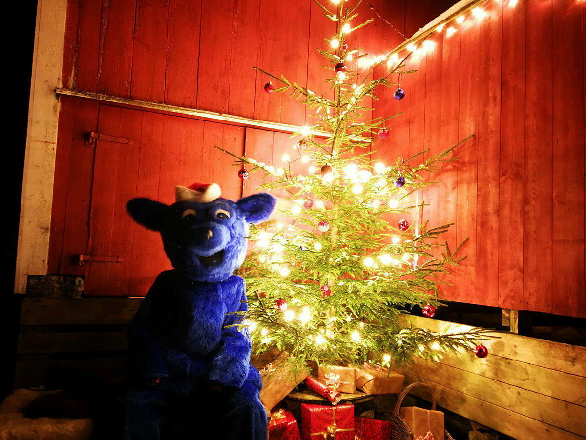 Turbo delte ut pakkar på Juletur i Oppedal