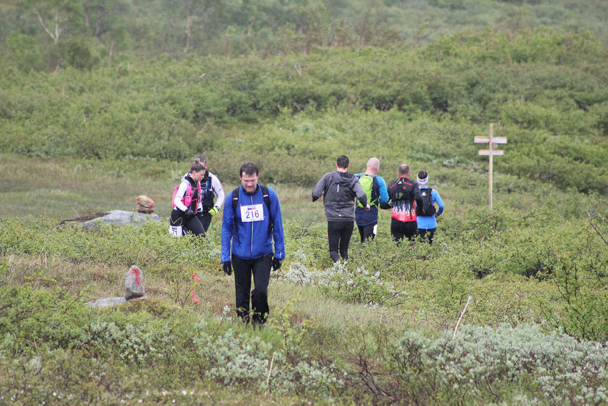 Fjellturløpet Børvasstindan Classic, 6. juli 2019