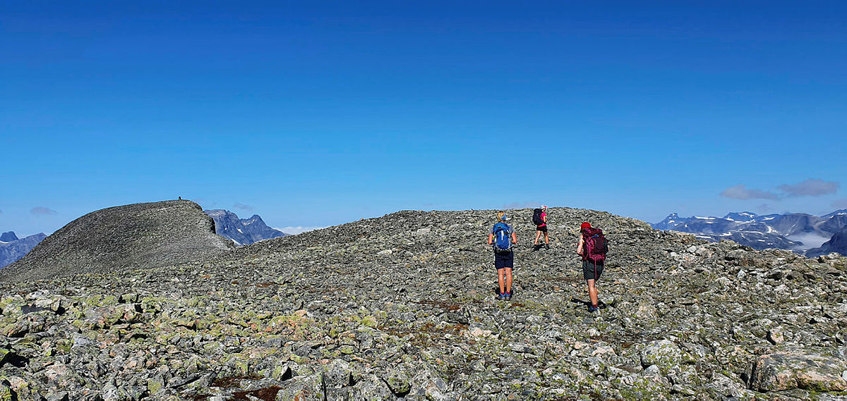 Panorama-utsikt på toppen!