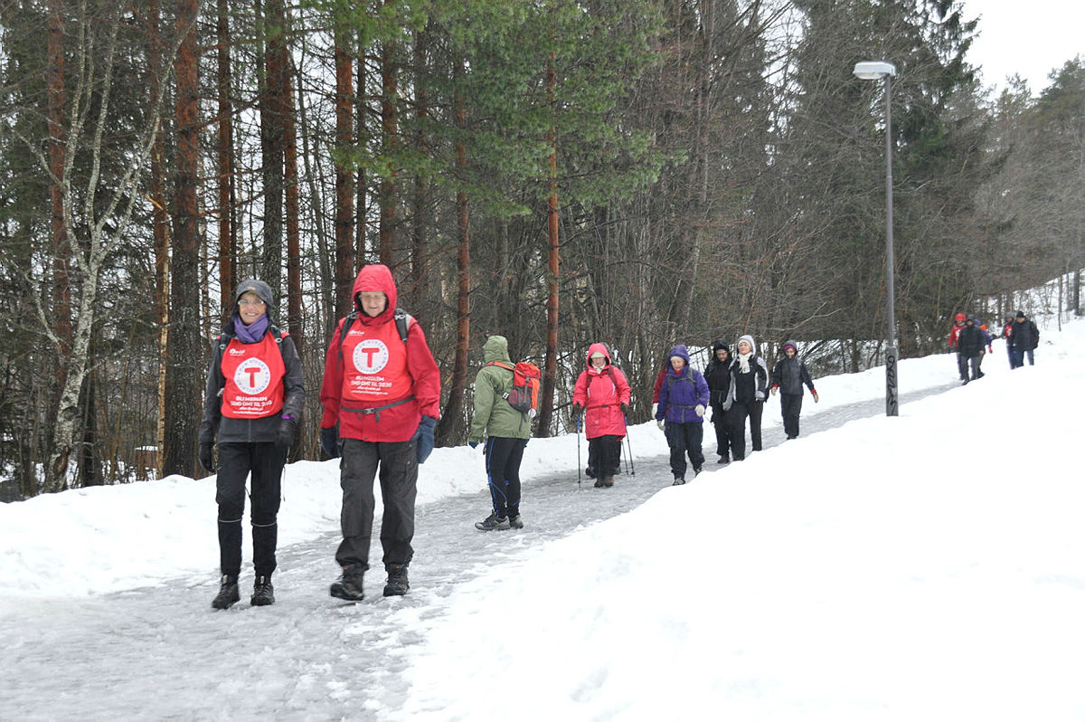 Synstolking: Bildet viser en flokk med mennesker på tur på en gangvei om vinteren, to turledere med vester går foran.