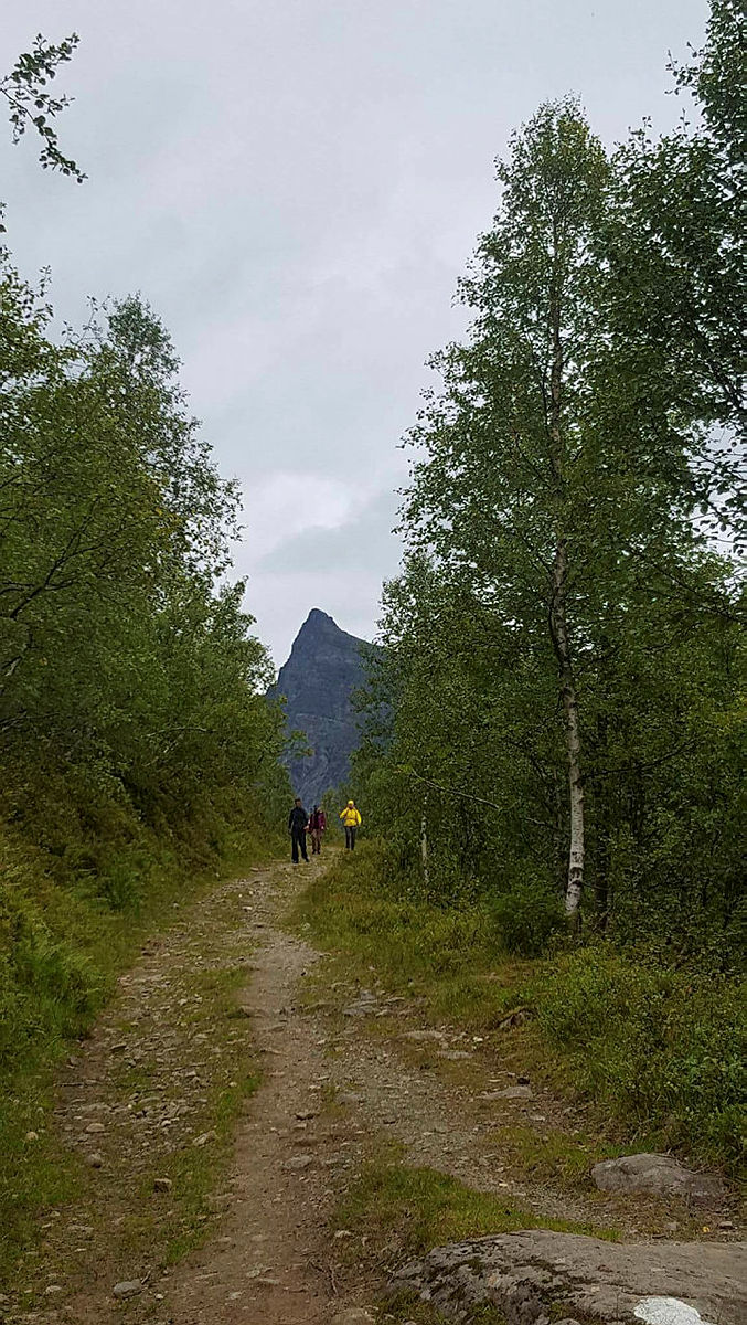 Honndalsrokken
