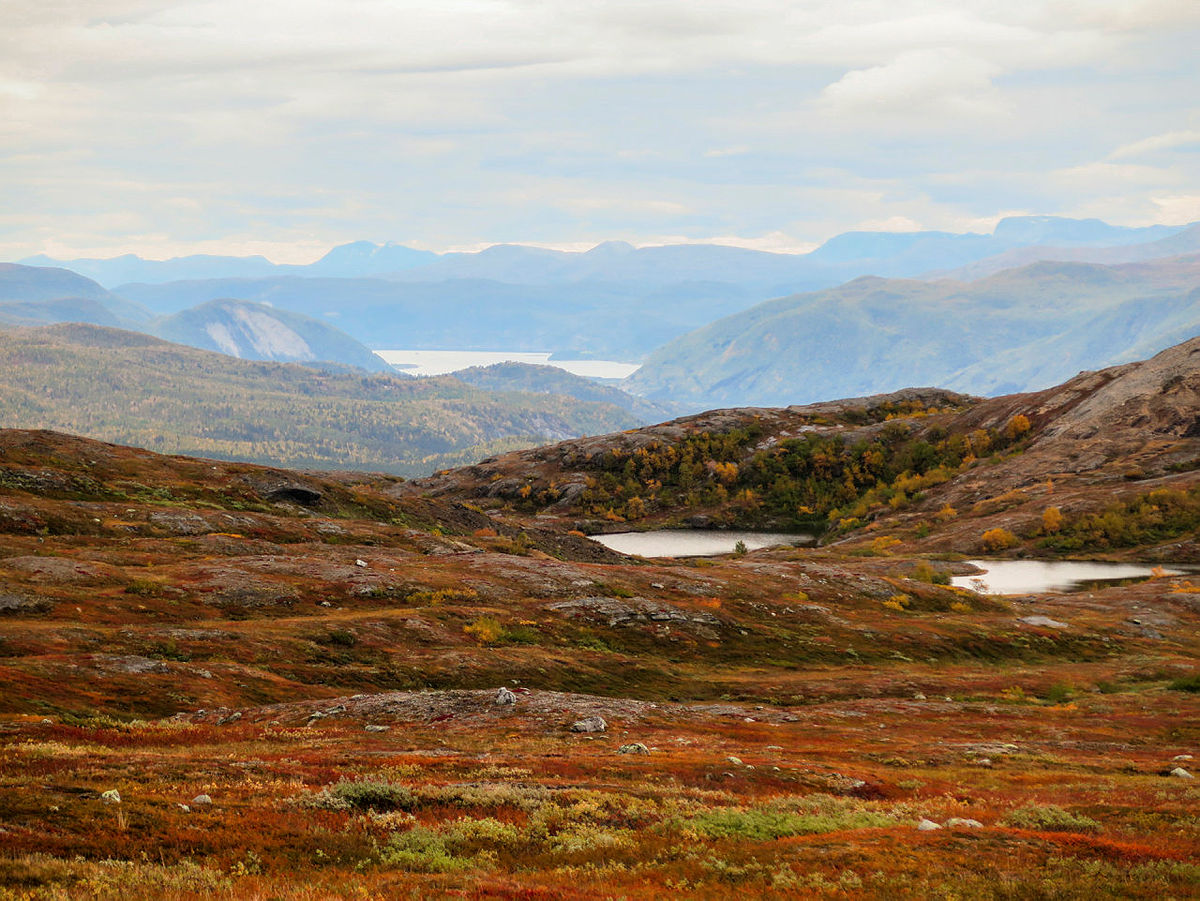 Fra Telegrafruta på Saltfjellet.
