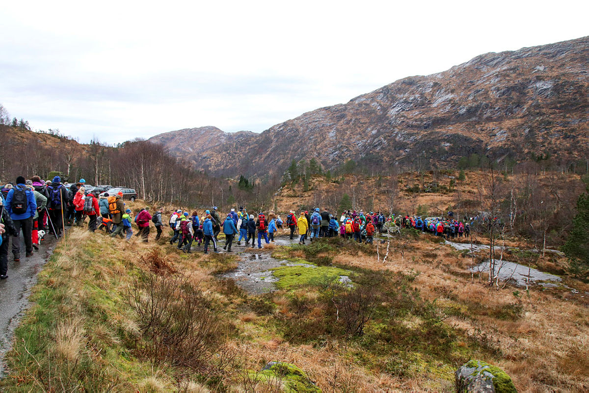 Støttemarsj for Stølsheimen, Dyrkolbotn, 11. november 2018.