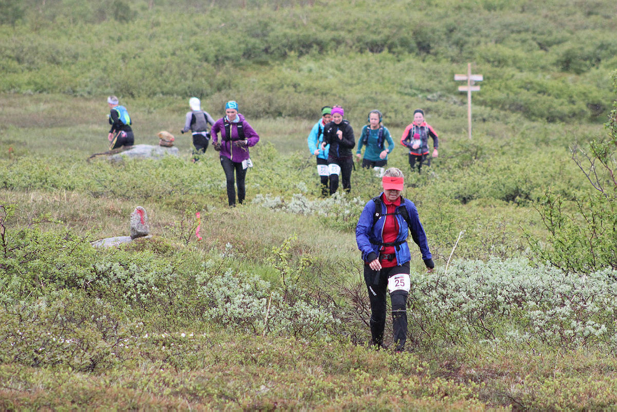 Fjellturløpet Børvasstindan Classic, 6. juli 2019