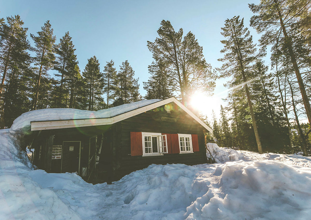Råbjørnhytta i Romeriksåsene