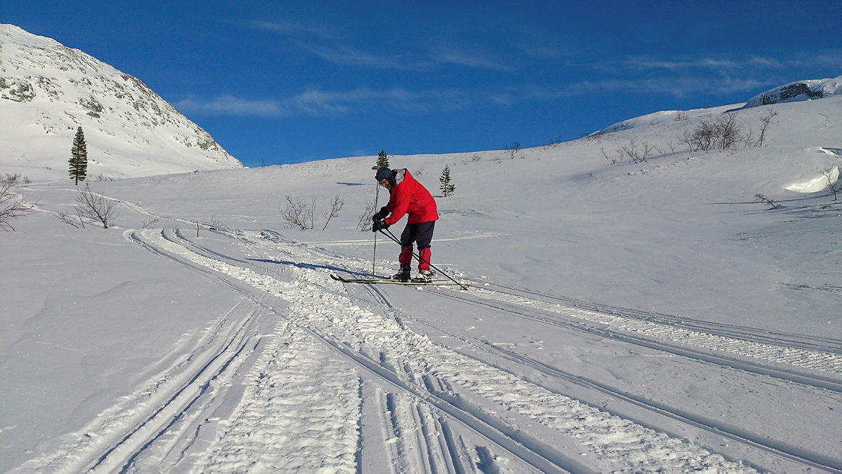 Kvisting i Øvsthusdalen, mars 2016.