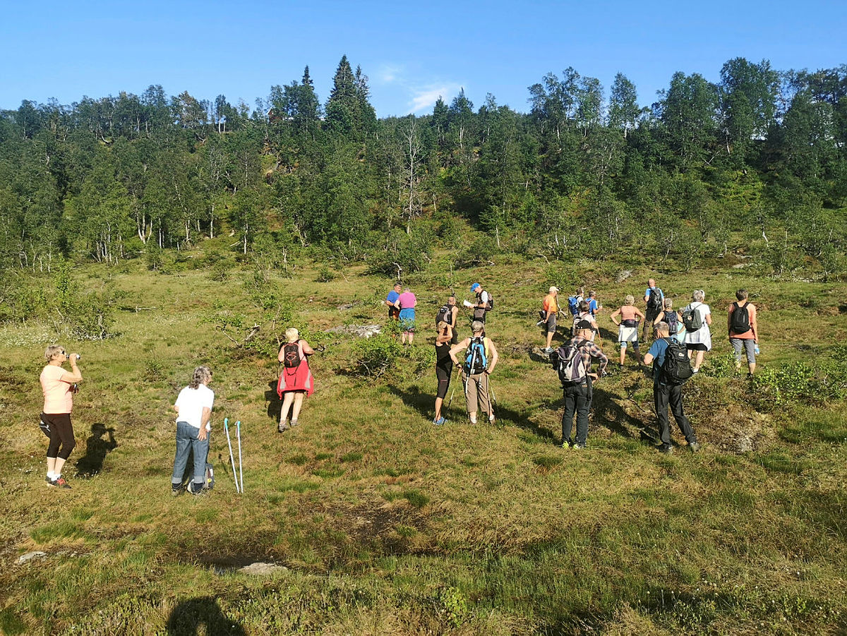 Kveldstur frå Skjerveggen