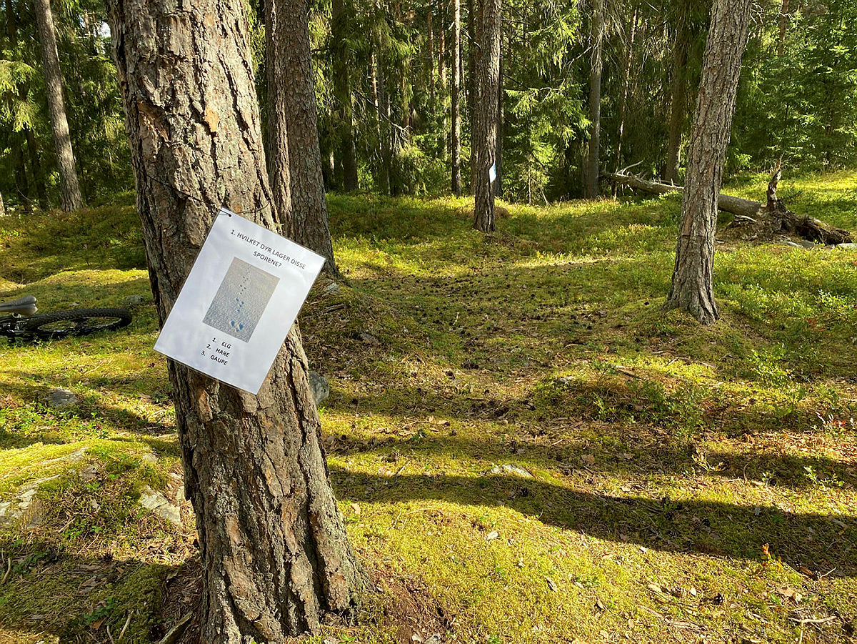Kom deg ut-dagen Ulbergskogen 2020