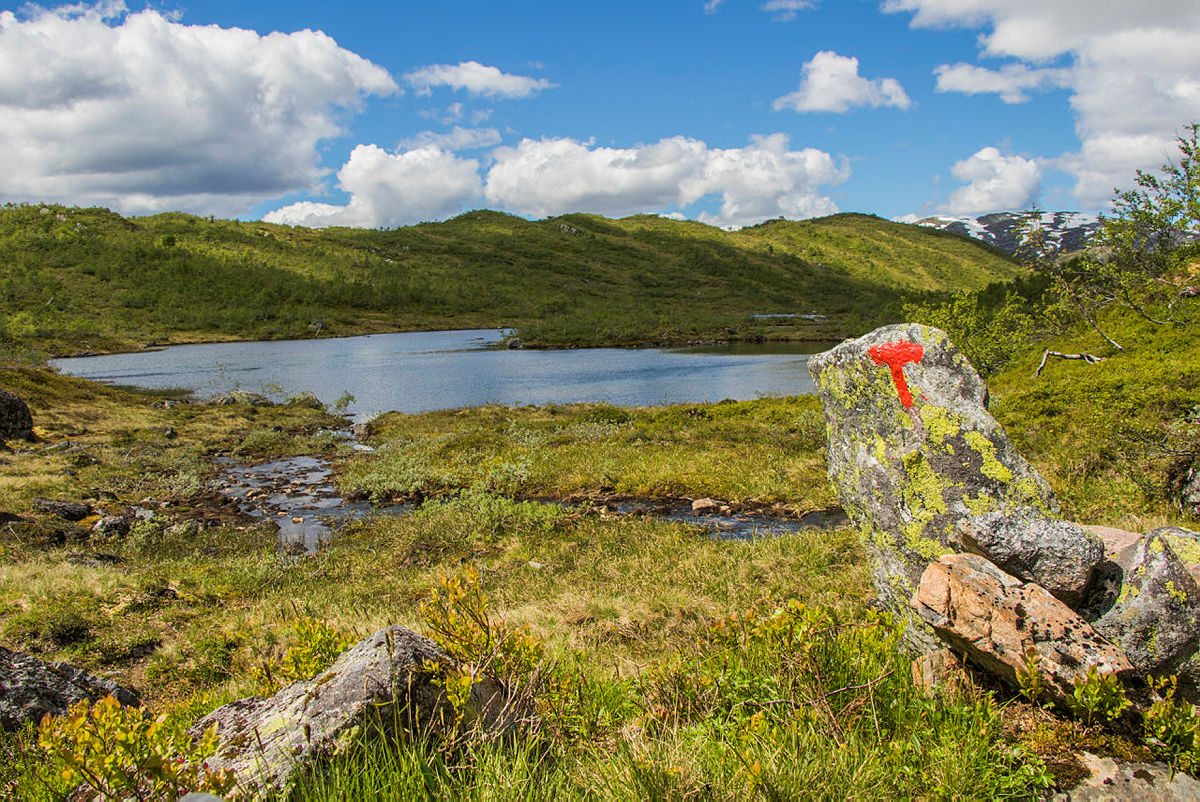 T-merka rute Mjølfjell - Ulvik. Fotomotiv: Rundavatnet.