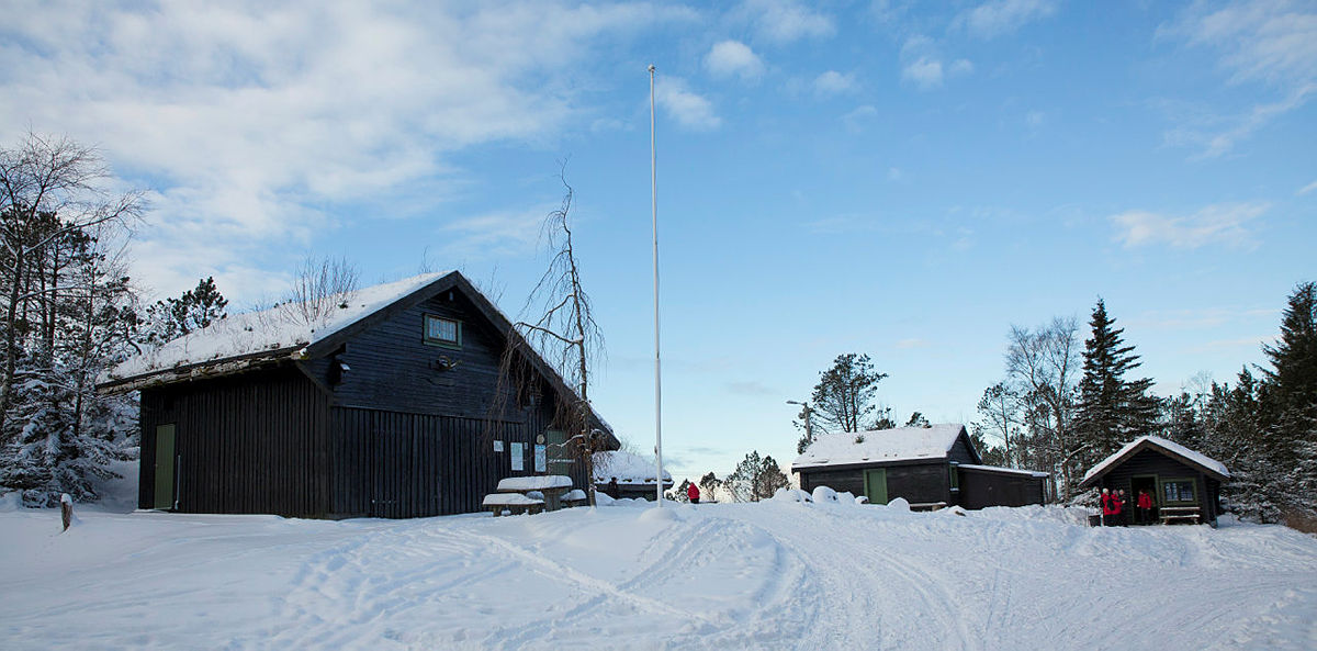Tur med Aktiv til 100 på Fløyen, 19. januar 2016. Turen gikk via Skomakerdiket.
