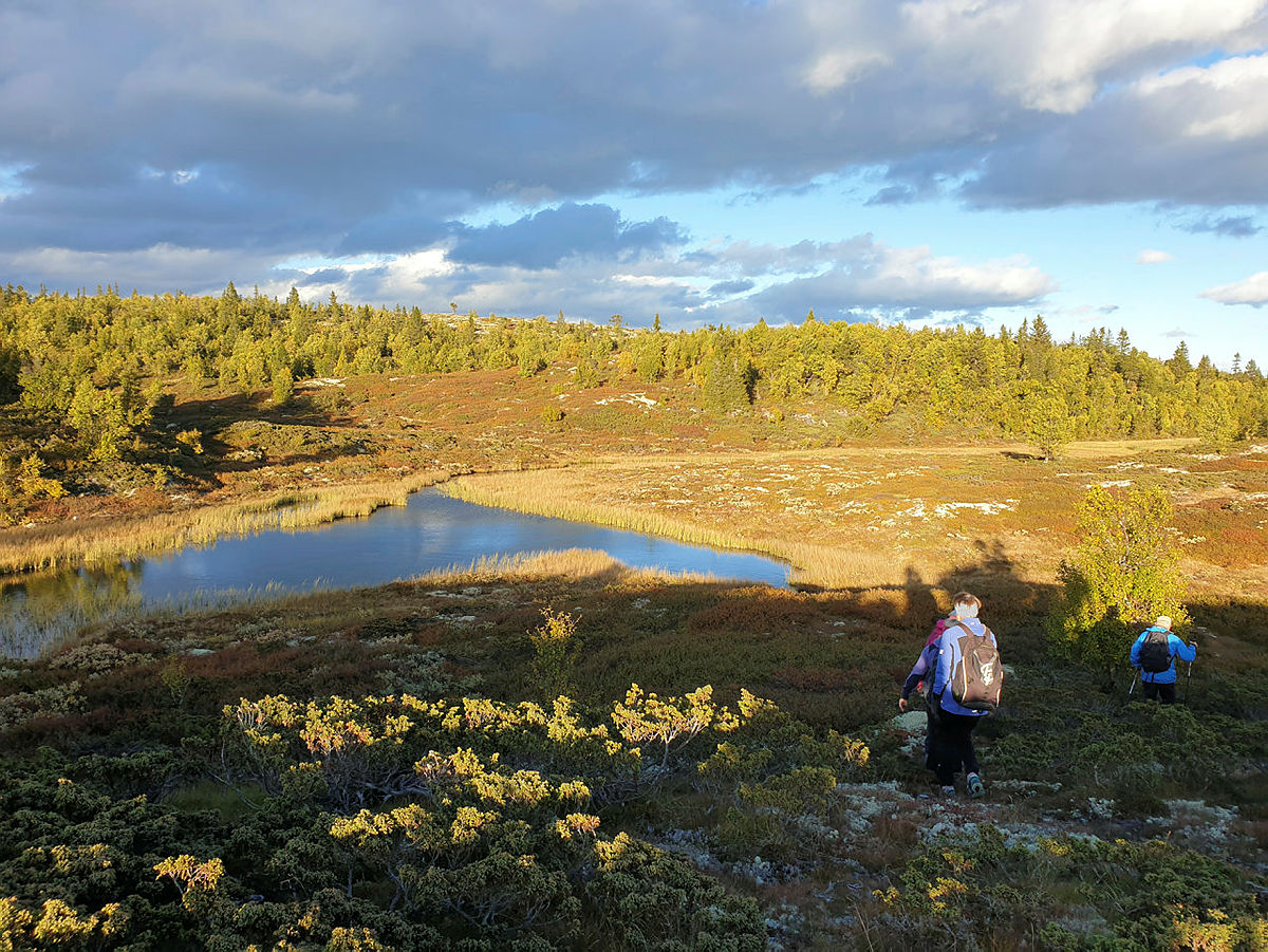 Langvassdalen.