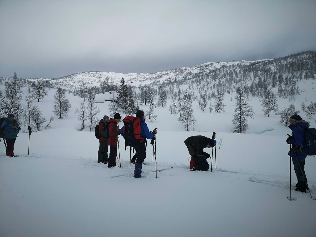 Kvitno - Fyrjo - Reinstjørndalen