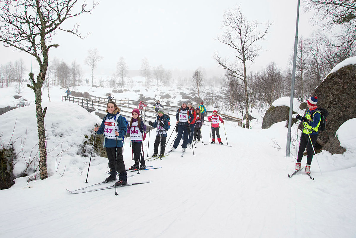 Skiskolen 2019