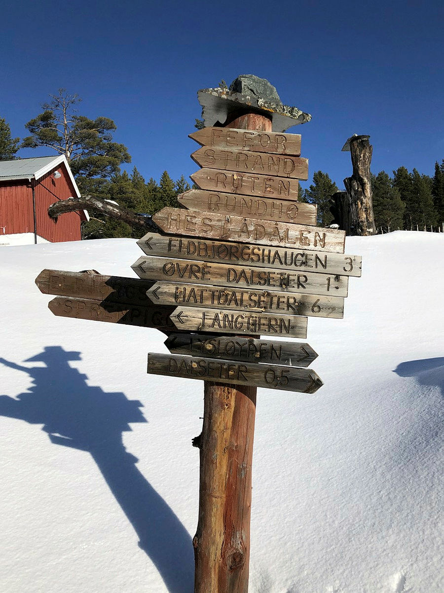 Trugetur til Elgtårnet