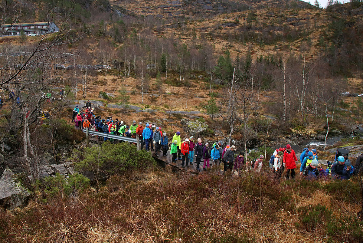 Støttemarsj for Stølsheimen, Dyrkolbotn, 11. november 2018.