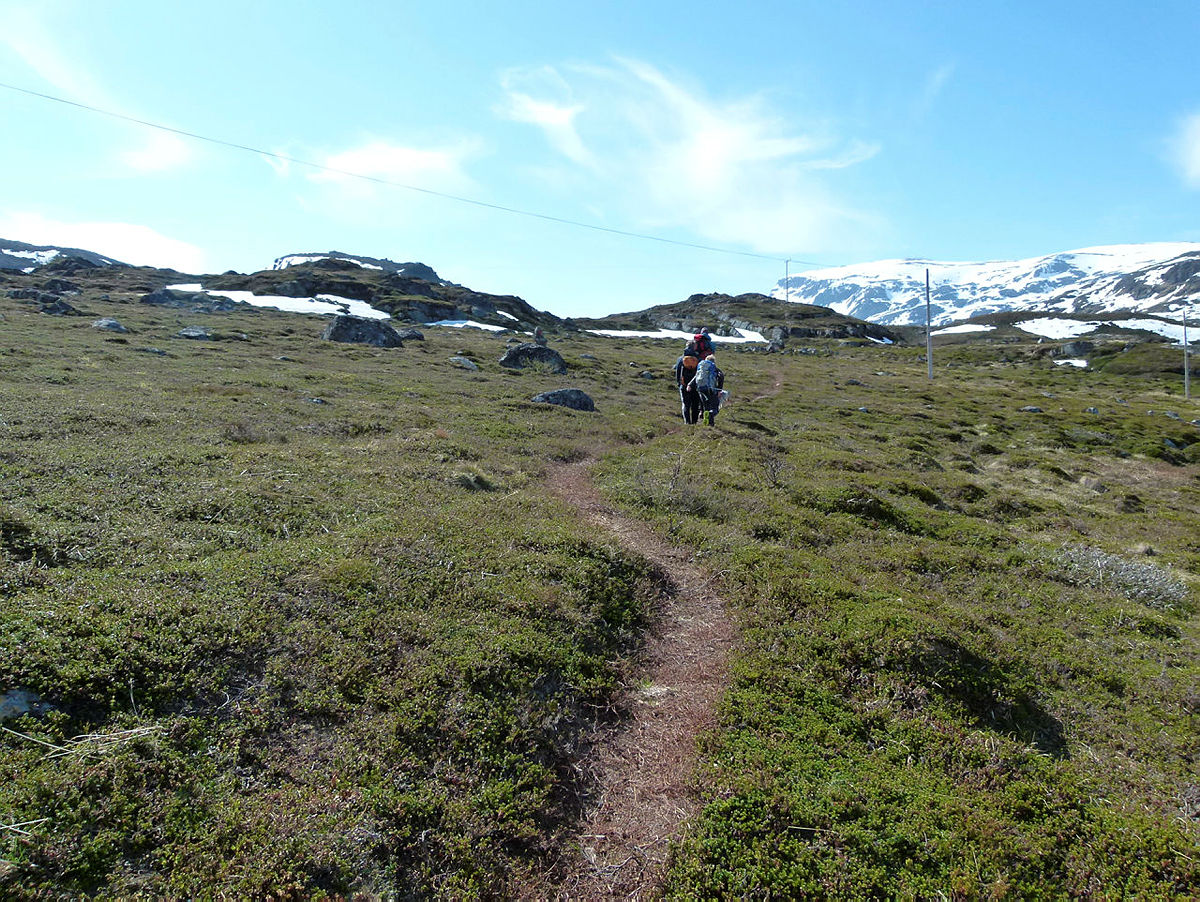 Fra Hønseby til Storvannet på Seiland