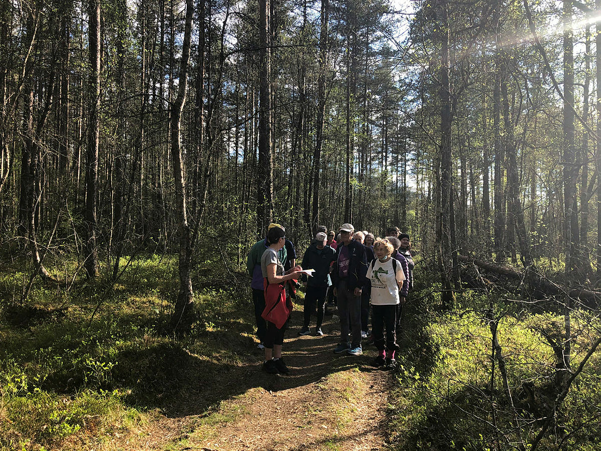 Seniortur Bømoen, mai 2021