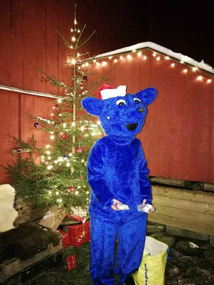 Turbo var med på Juletur i Oppedal