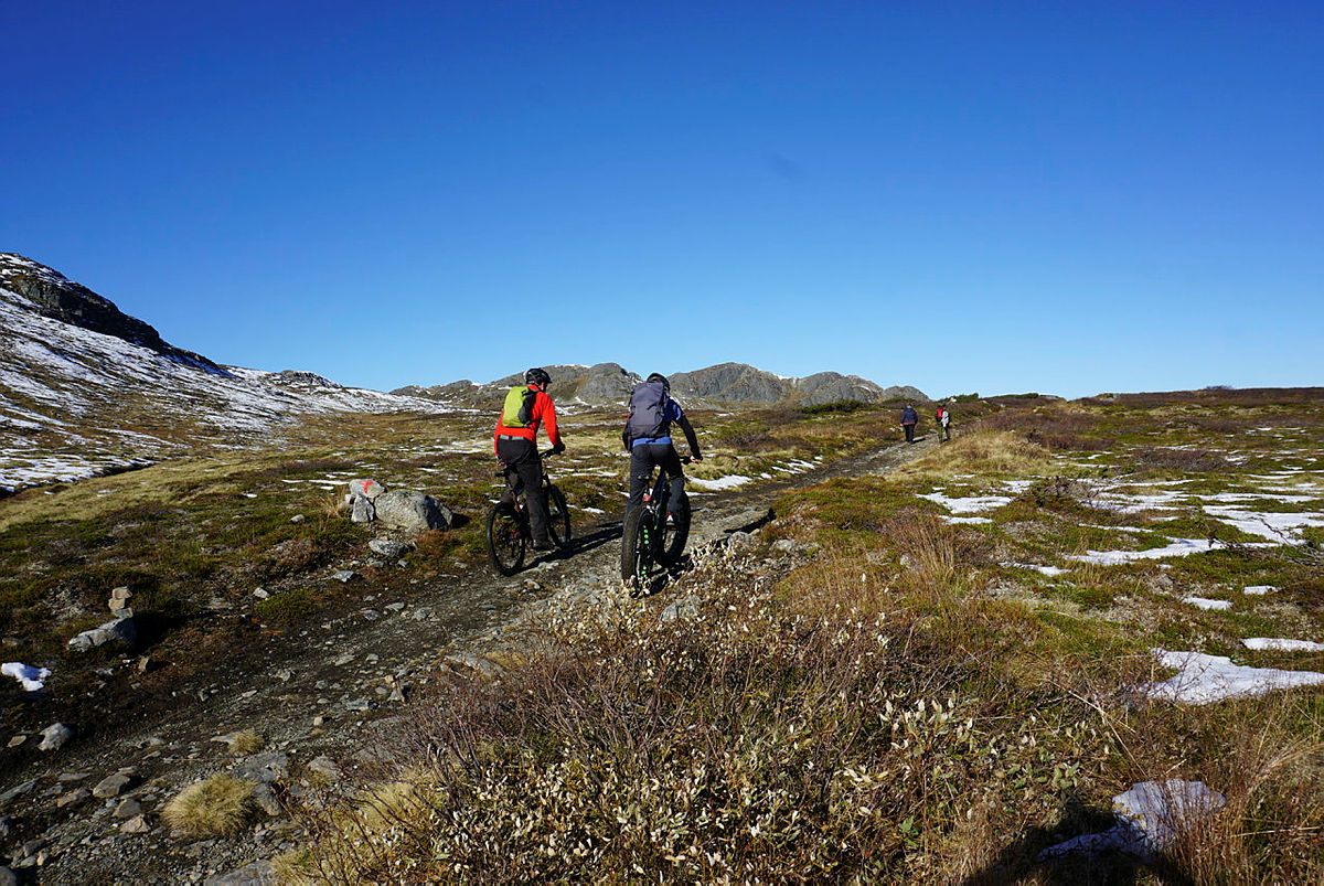 Fatbike i fjellet, Hovden.