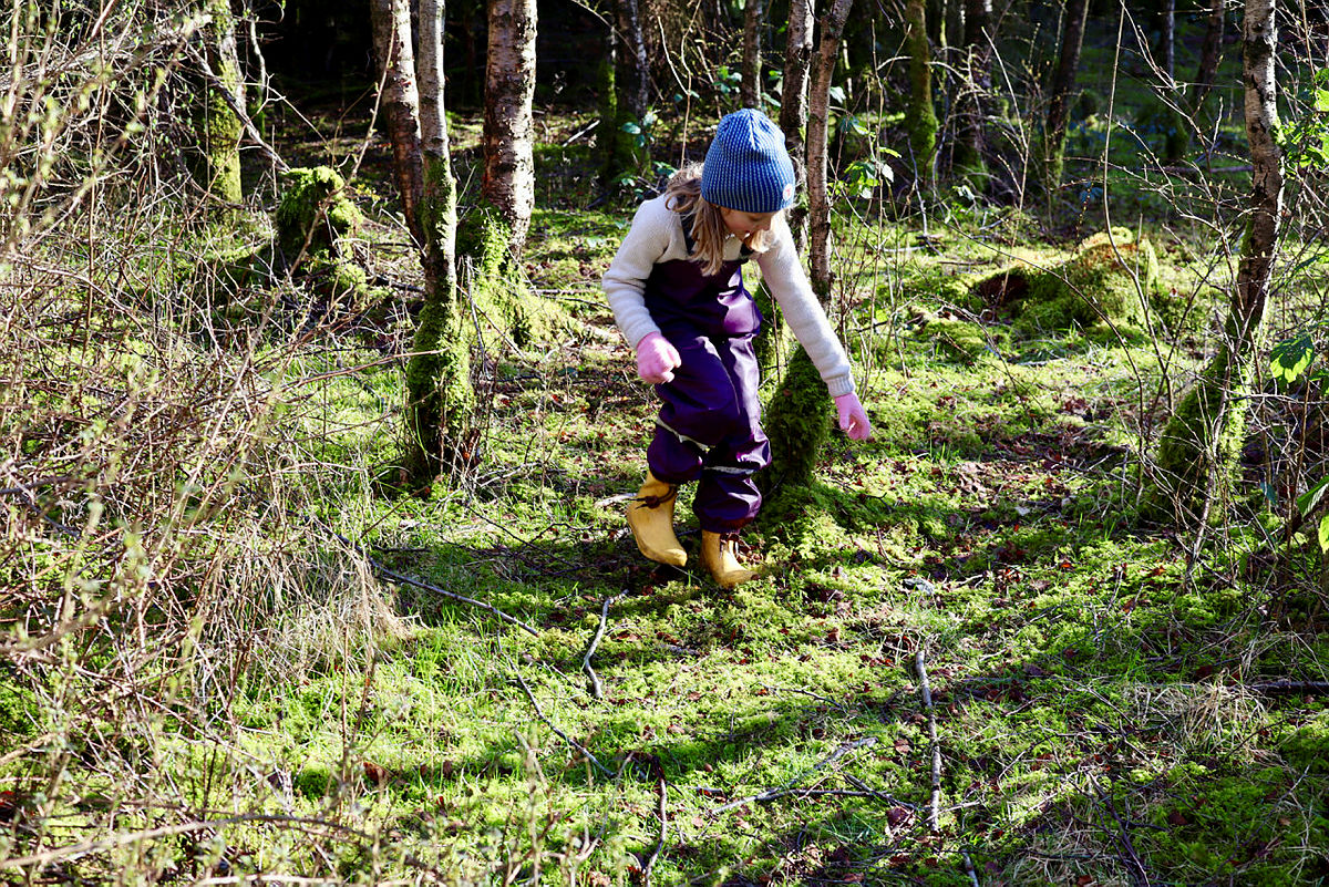 Let etter vårtegn i skogen!