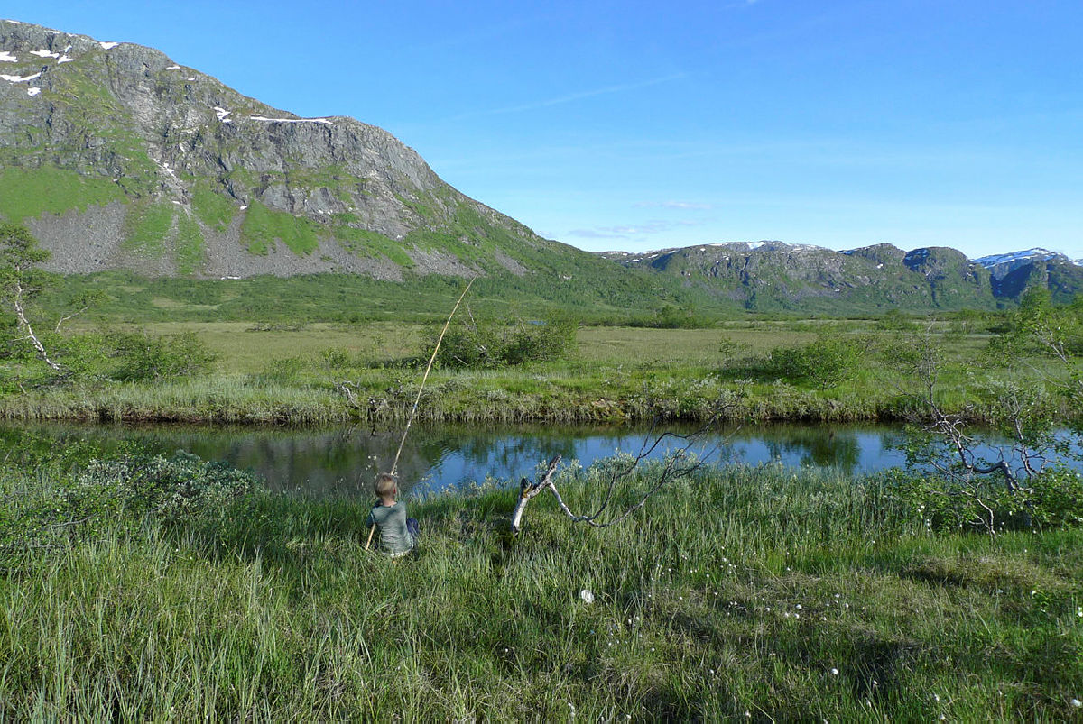 Fisketur på Solrenningen, juni 2017.