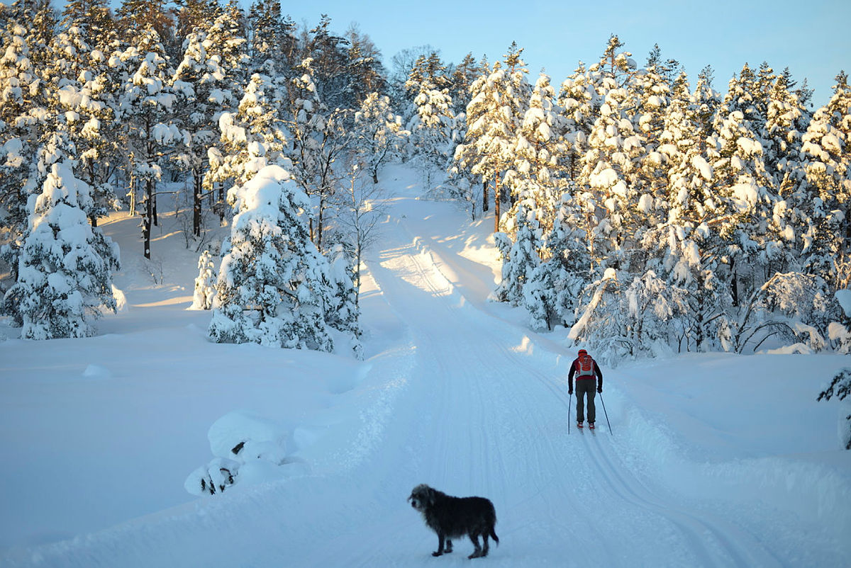 Totræna vinterpark i Samnanger.