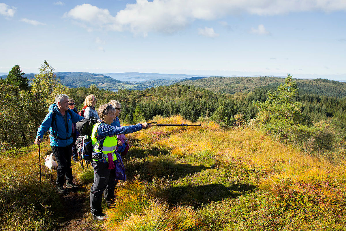 Å gå på tur sammen med en turgruppe og oppdage nye steder synes mange er veldig kjekt. Denne turen gikk til Solkbakkafjellet ved Bontveit.