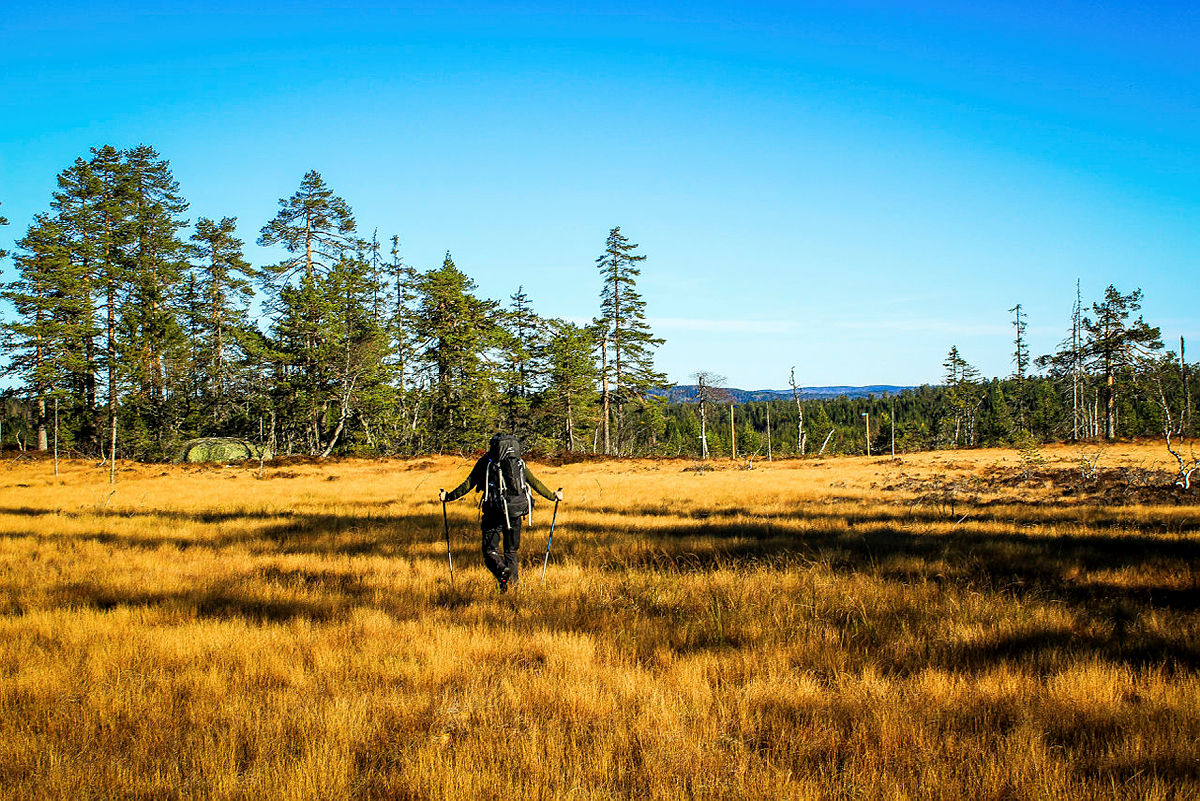 Nå skrotes forslaget om vindkraft i grenseområdene mellom Vestfold, Telemark og Buskerud.