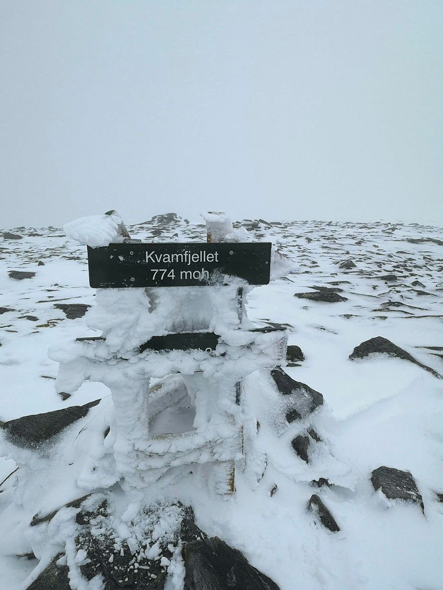 Tur til Kvamefjellet