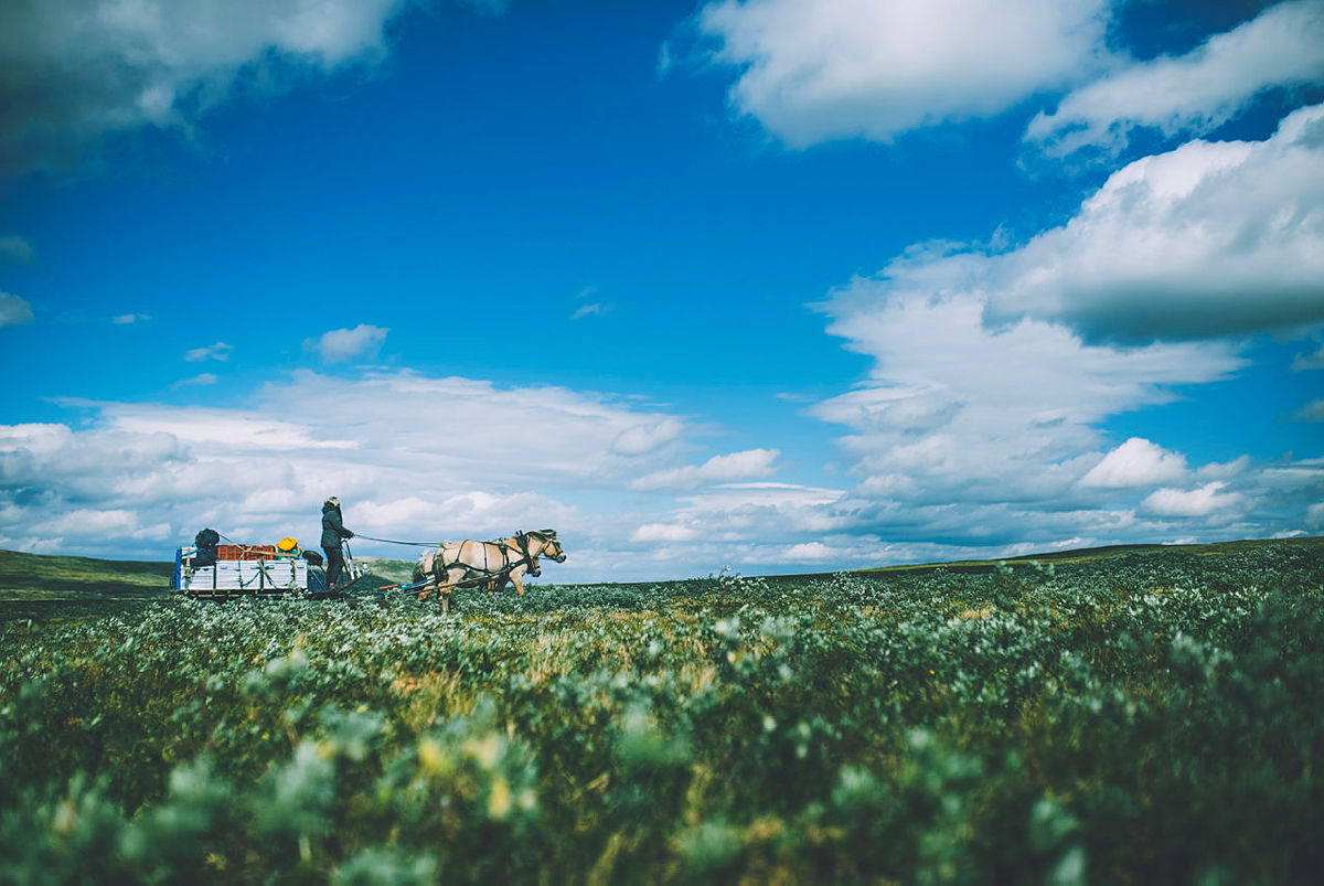 Bilder fra sommeråpning på Rauhelleren og Solheimstulen på Hardangervidda.