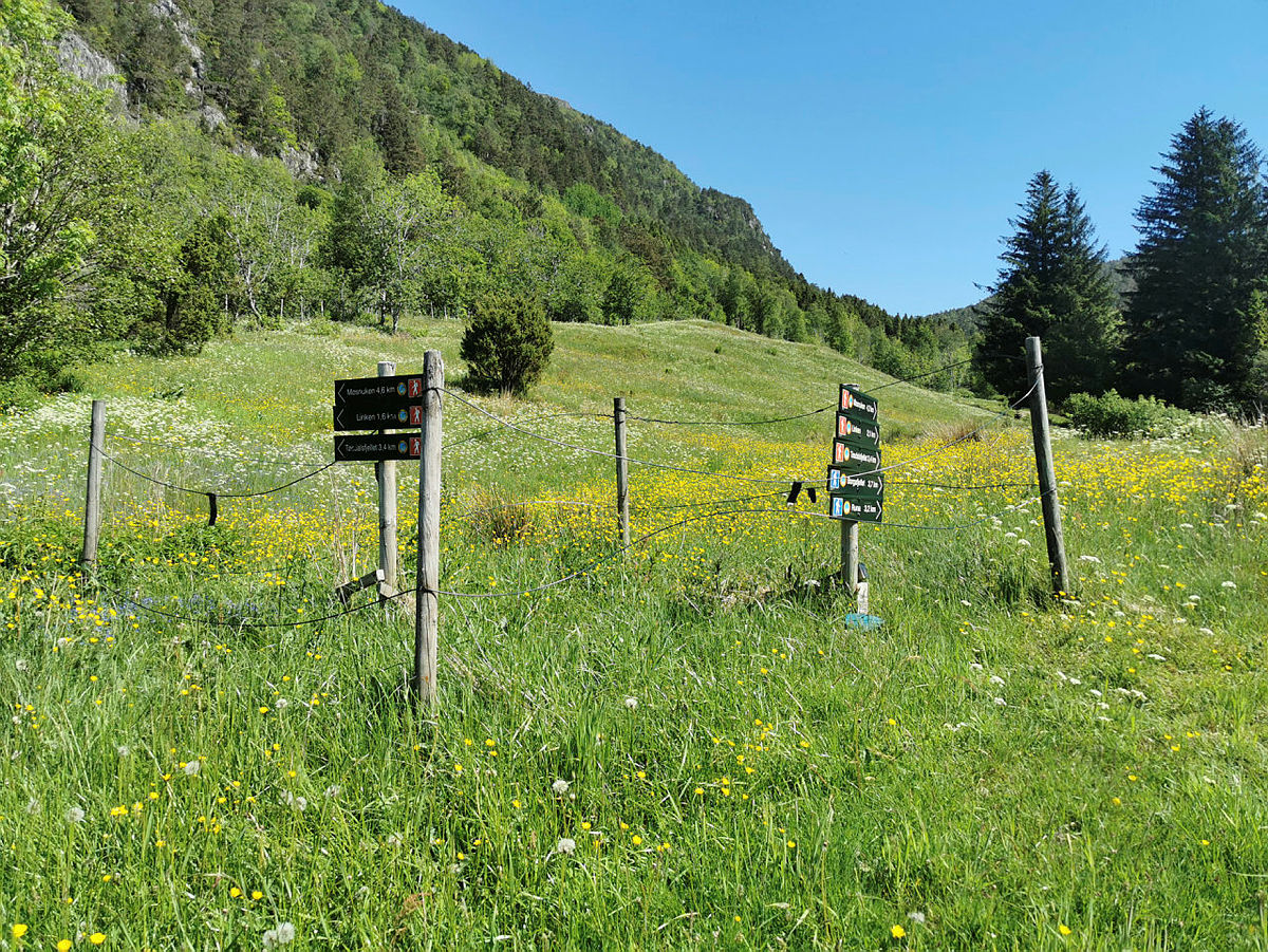 Følg første skilting til Møsnuken via Linken