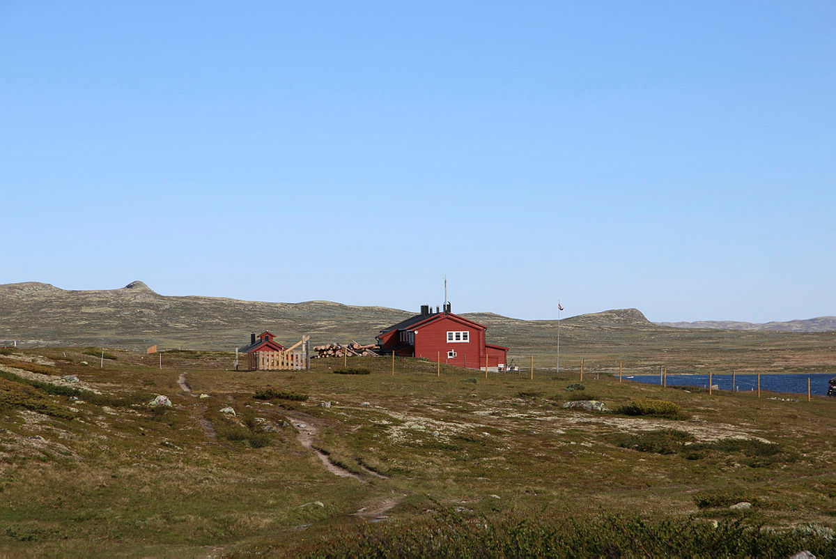 Rauhelleren