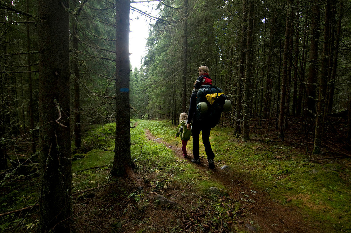 Til fots i Finnskogen