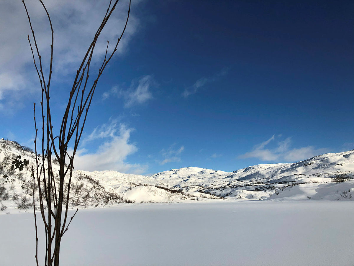 De første kvilsløypene er klar, og nå kan du følge kvisten fra hytte-til-hytte nord for Ådneram