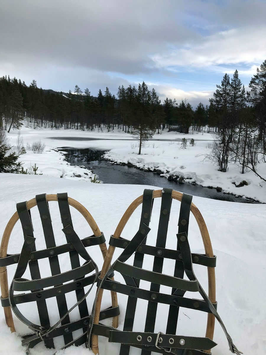 Trugetur til Elgtårnet