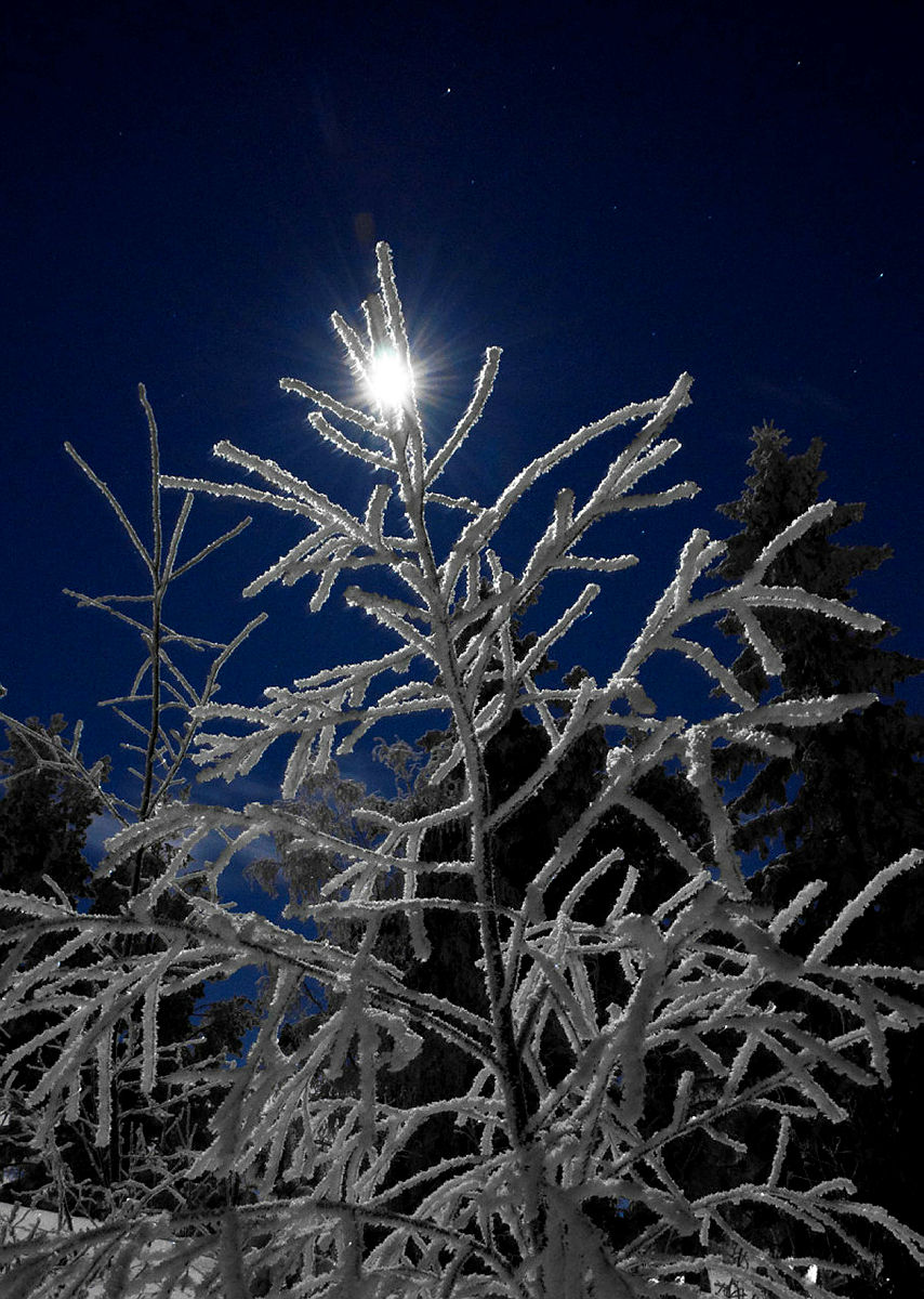 Dette var en vinternatt som månen sto skjeldent nærme jorda. Jeg hadde med meg kamera og stativ på måneskinnstur. Det er noe spessielt med det og stå ute i bitende kulde mens landskapet er fulstendig opplyst av den dugre månen. Da blir det både lyst og mørkt på en gang!  Fotokonkurranse vinter 2011