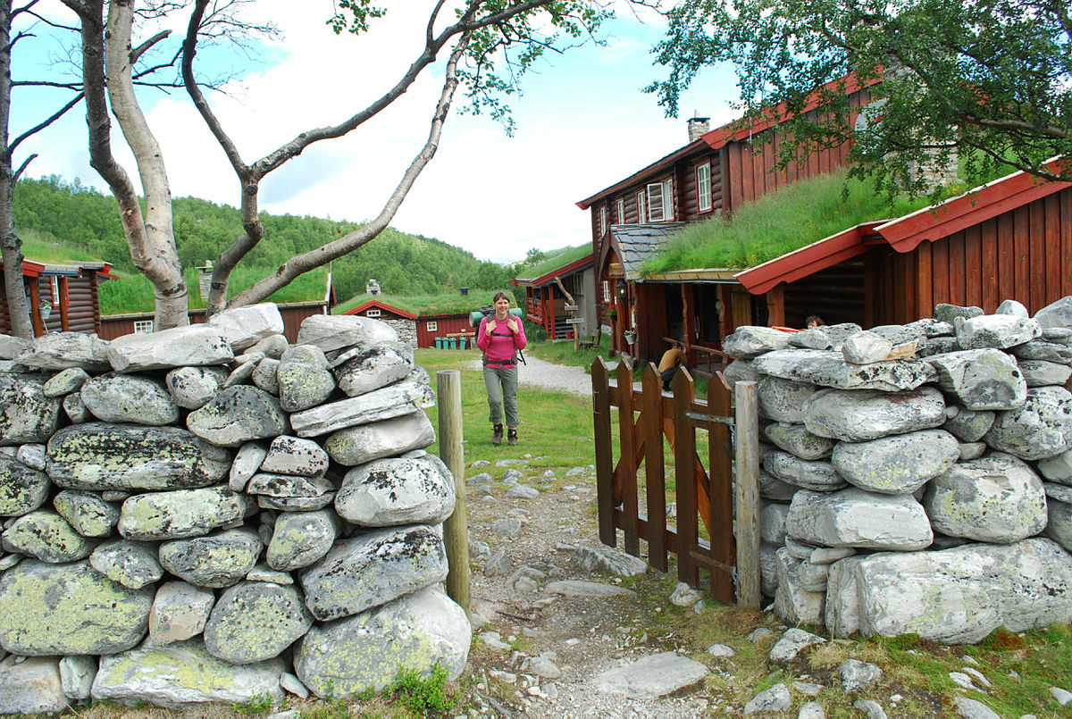 Bjørnhollia