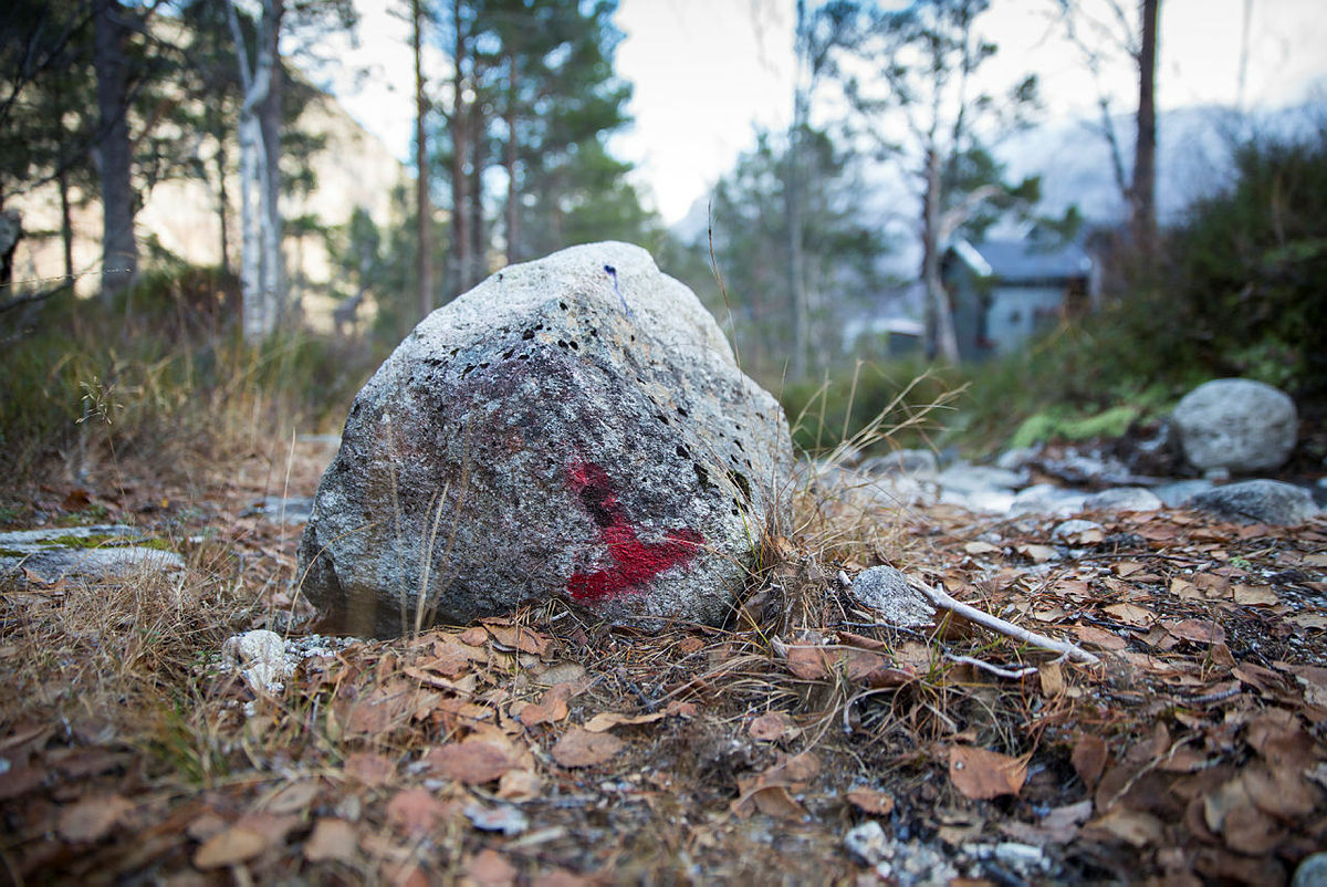 Noen ganger føles verden litt opp ned. Slik er det for Turlaget også i denne uvirkelige tiden.