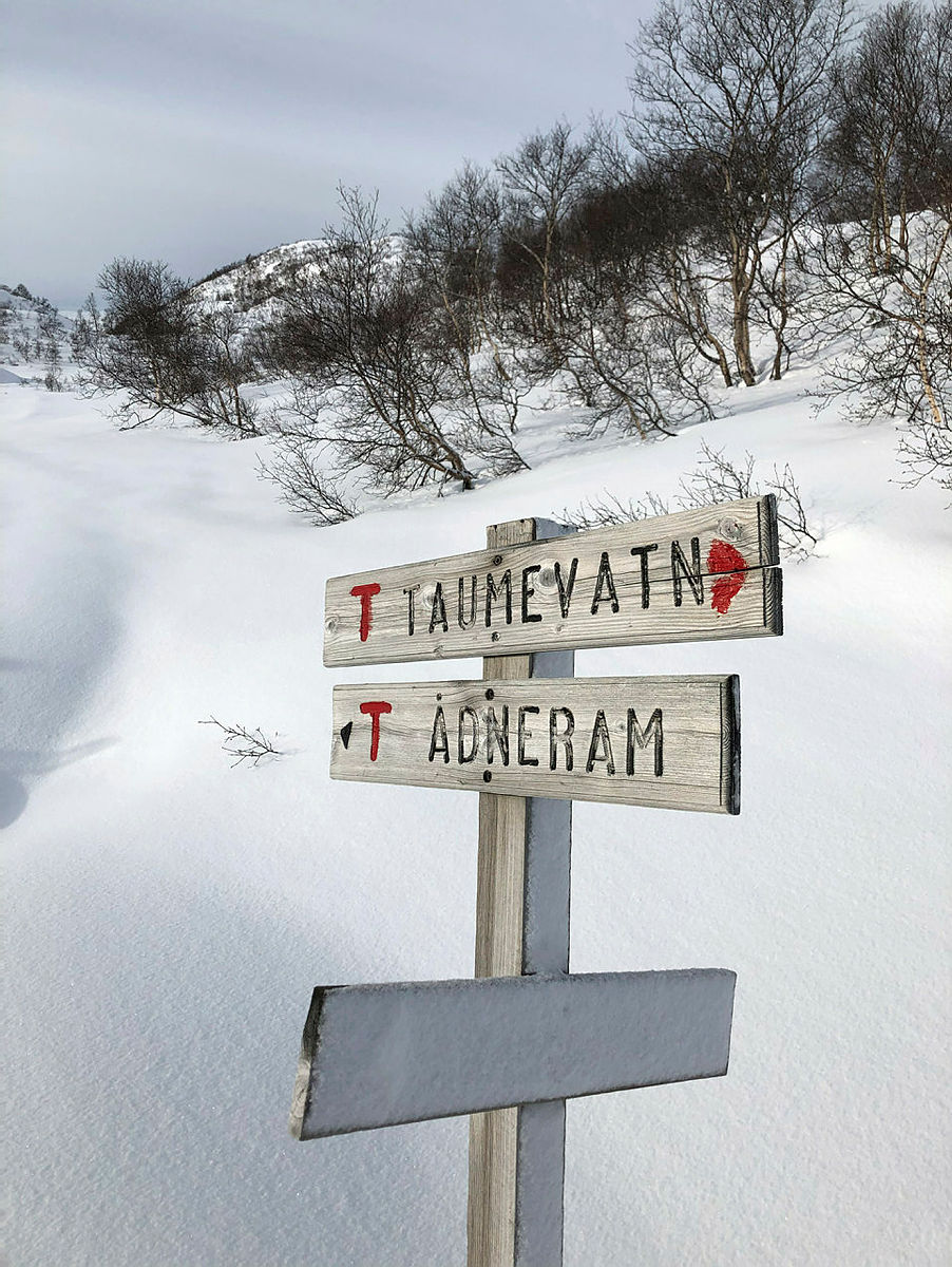Stikryss Taumevatn - Ådneram 20 februar.