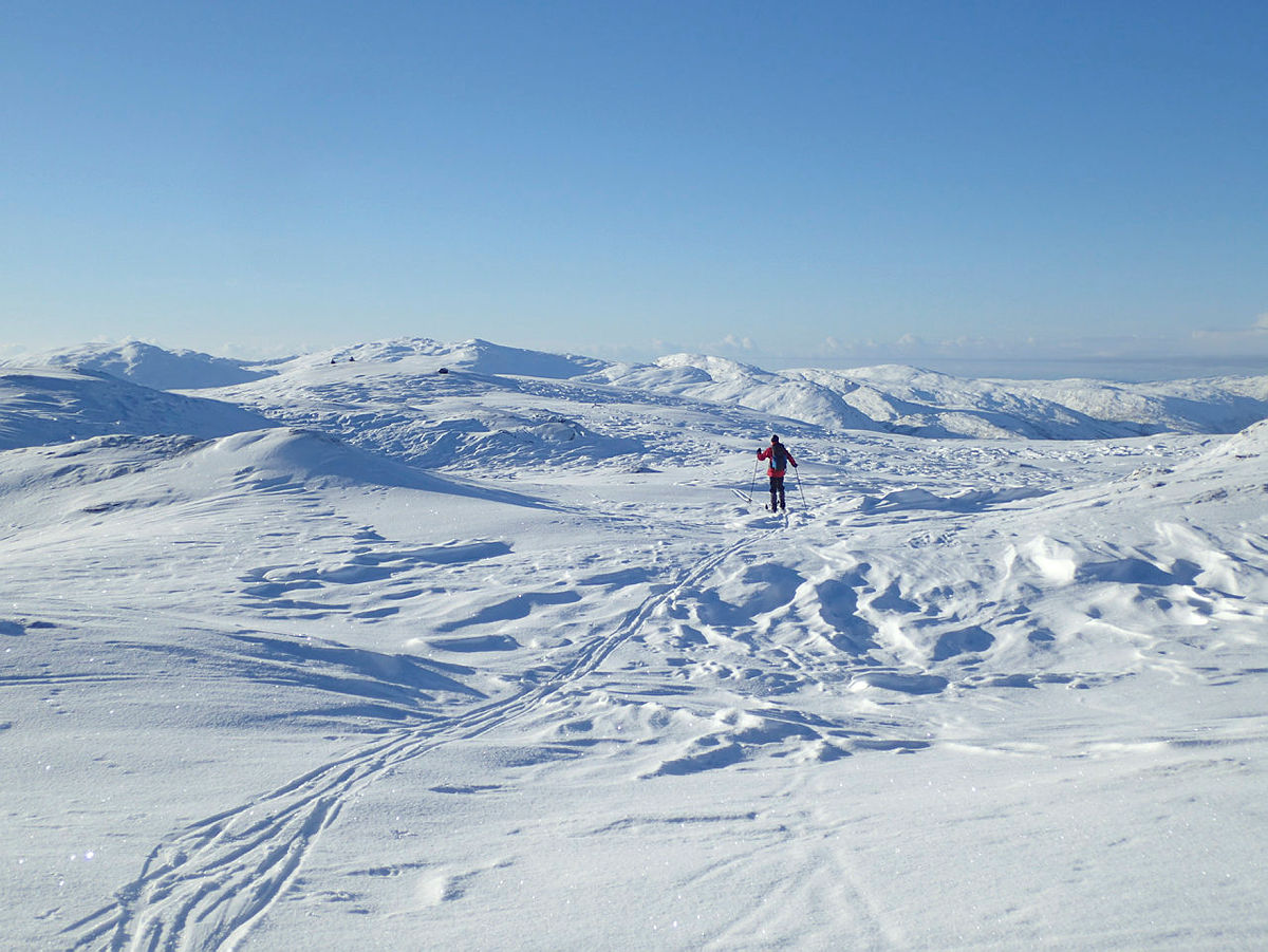 Skitur til Hamlagrøhornet i Bergsdalen 3. januar 2019. Vindstille, minus 10 grader.
