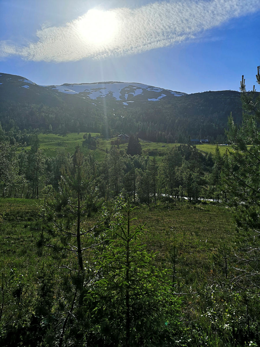 Kveldstur frå Skjerveggen
