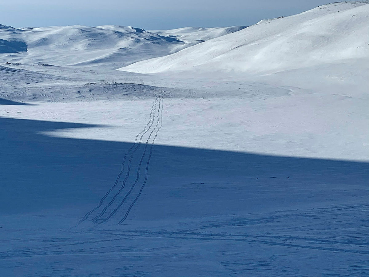 Skitur til Høgtunga 2020