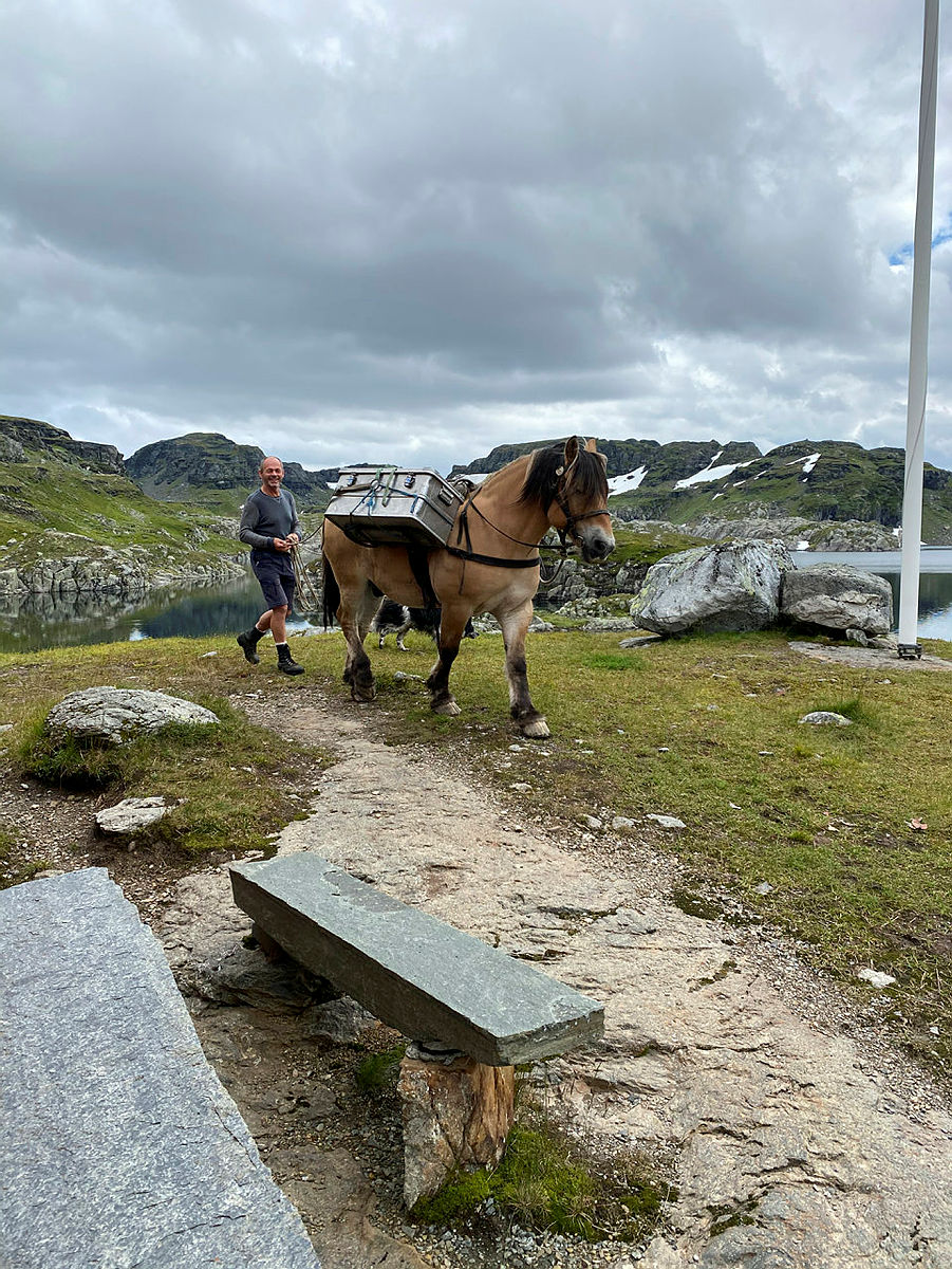 Ferske og kortreiste råvarer blir fraktet opp til Stranddalen med hesten, Sølvfaks og Tor Inge Bråtveit.