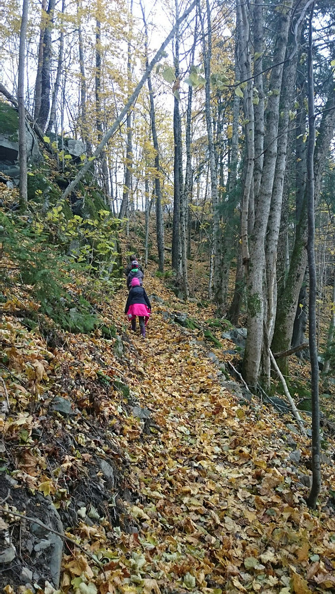 Topptur til Årdalsåsen med Barnas Turlag Porsgrunn