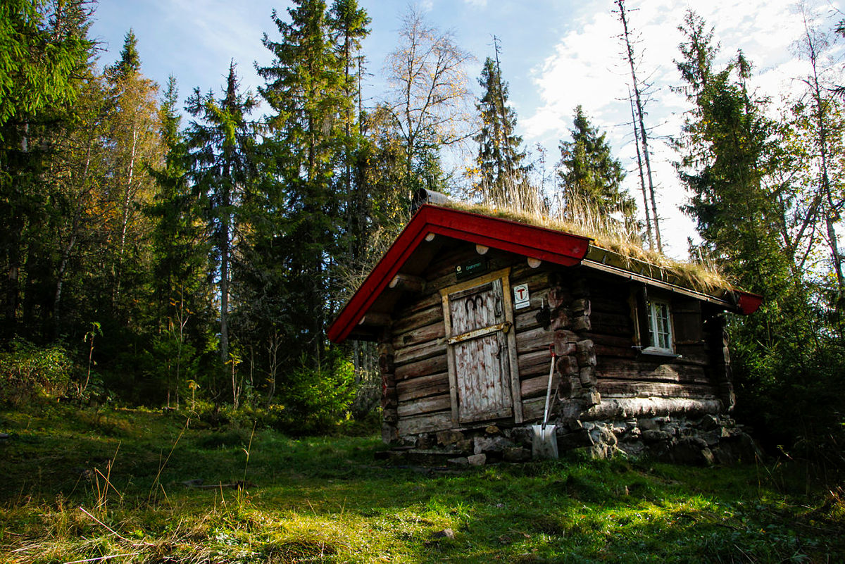 Drømmen på Krokskogen