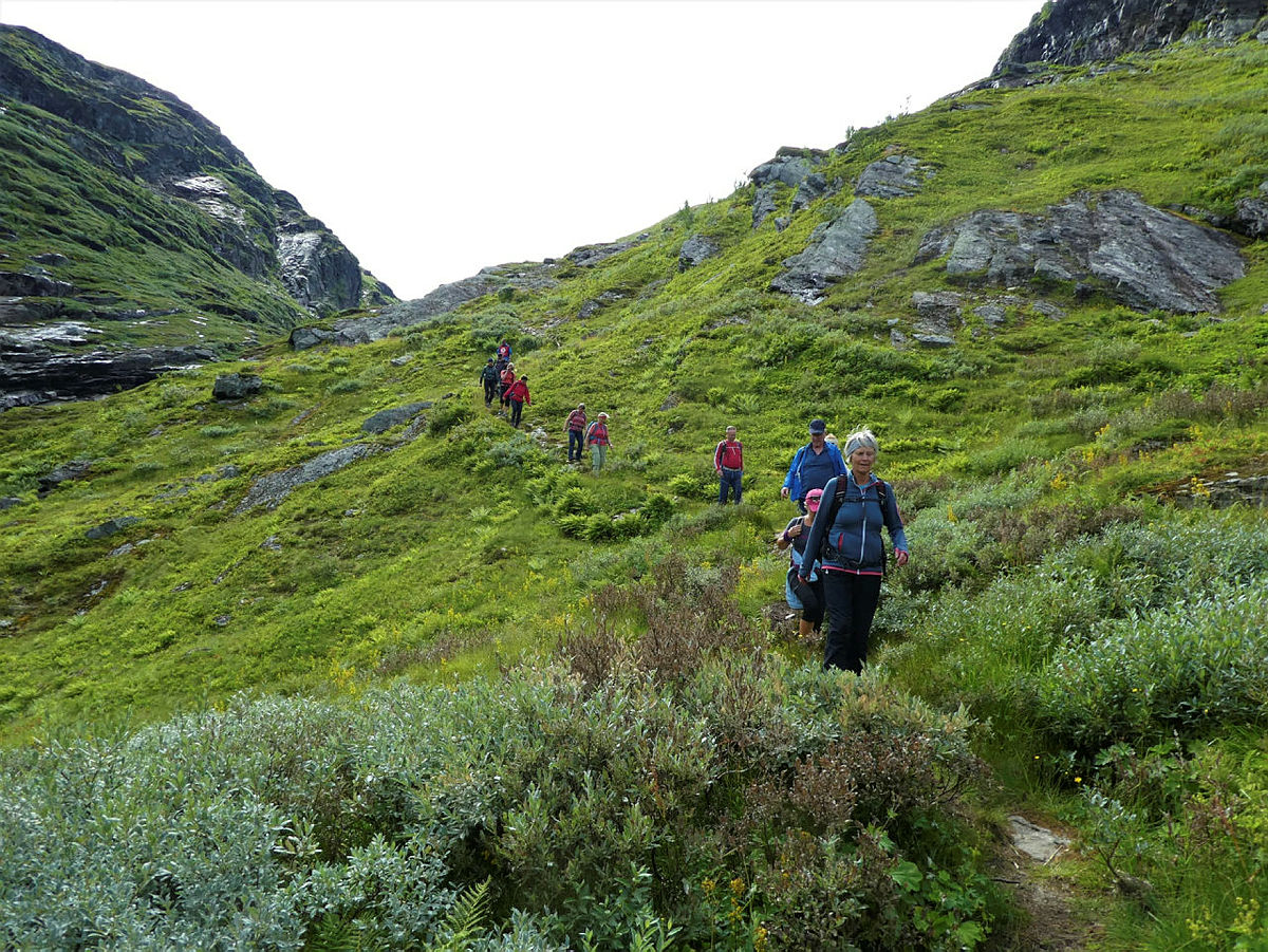 Tur Uppsete - Vatnahalsen, med zipline til Kårdal, august 2021