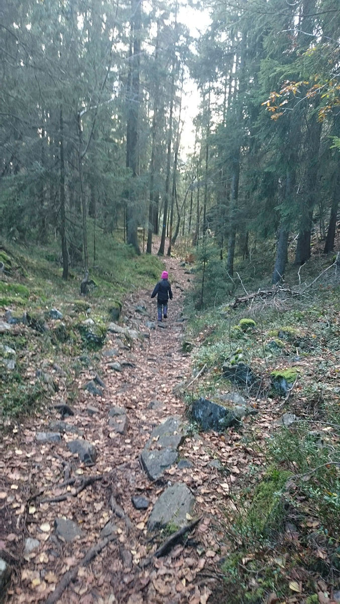 Topptur til Årdalsåsen med Barnas Turlag Porsgrunn
