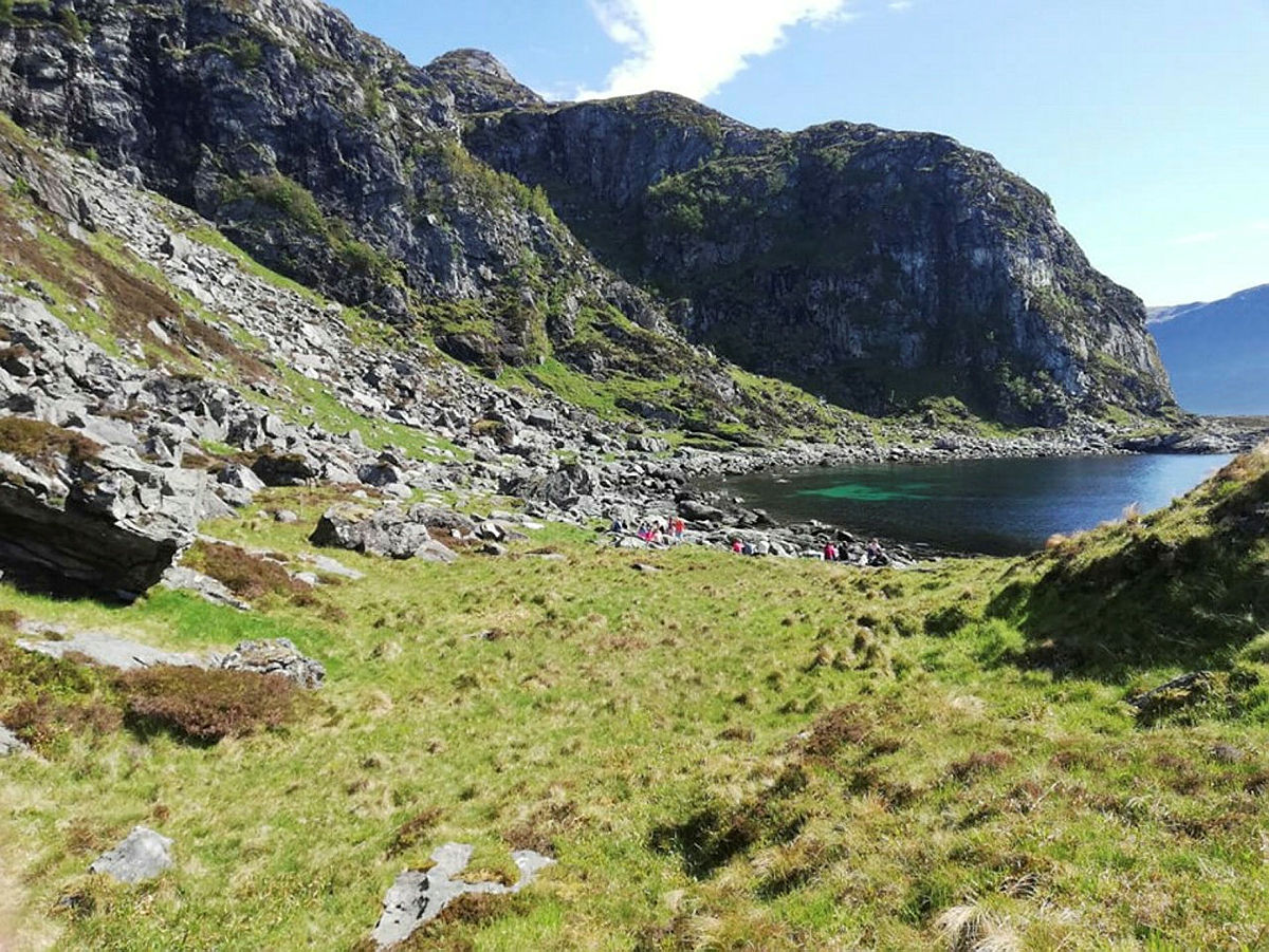 Matpause i fjæresteinane.