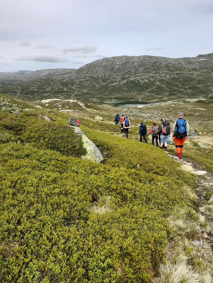 Fellestur til Taumevatn og Storevatn juni 2021