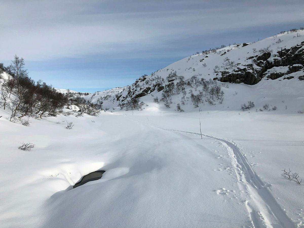 Stompetjødnene før Taumevatn.
